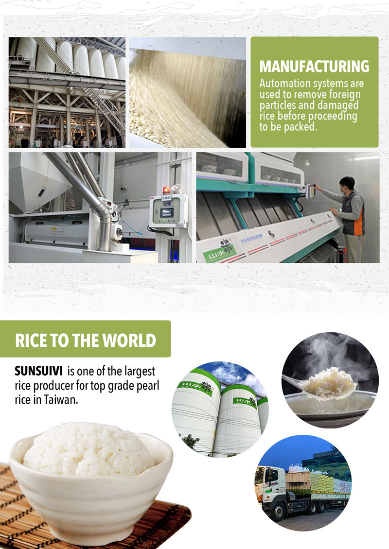 Rice-A4---3
